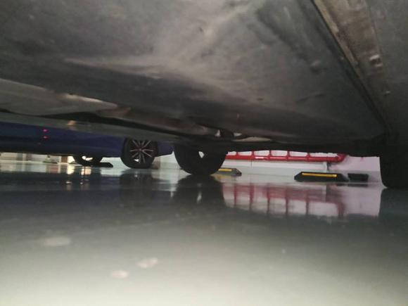 [上海·沪F] 二手大众探影2021款 1.5L 自动 30周年纪念版