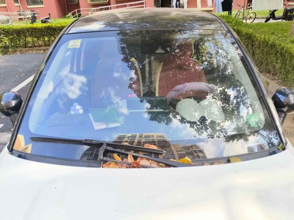 [上海·沪A] 二手欧拉欧拉黑猫2019款 351km 灵智版