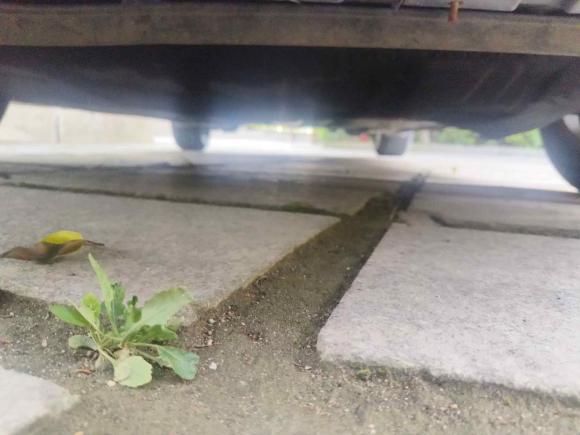 [温州·浙C] 二手福特福克斯2015款 两厢 1.6L 手动舒适型