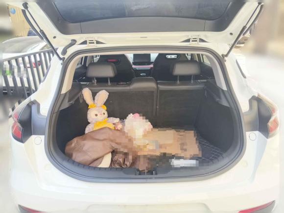 [合肥·皖A] 二手吉利汽车帝豪S2021款 1.4T CVT尊贵型