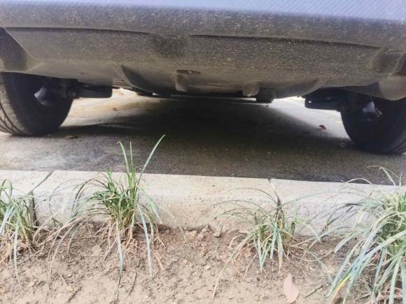 [苏州·苏E] 二手丰田雷凌2018款 185T CVT豪华版