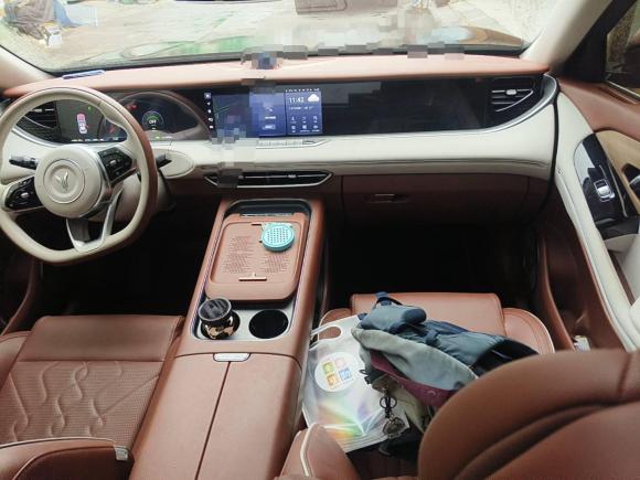 [合肥·皖A] 二手岚图汽车岚图FREE2024款 超长续航智驾版