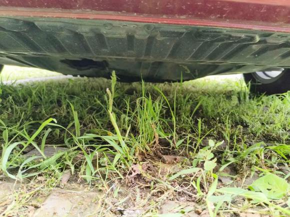 [杭州·浙A] 二手日产轩逸2020款 1.6L XL CVT悦享版