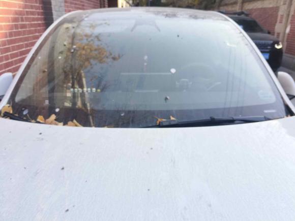 [上海·沪A] 二手特斯拉Model Y2023款 长续航全轮驱动版