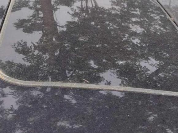 [嘉兴·豫N] 二手大众帕萨特2011款 1.8TSI DSG至尊版