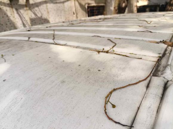 [常州·鲁D] 二手上汽大通MAXUS新途V802019款 2.5T经典款6挡手动傲运通短轴中顶5/6座