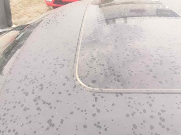 [义乌·浙G] 二手本田思域2019款 220TURBO CVT燃动版 国VI