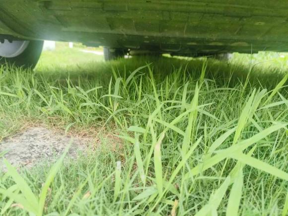 [上海·沪C] 二手奇瑞瑞虎82020款 290TGDI 自动豪华版