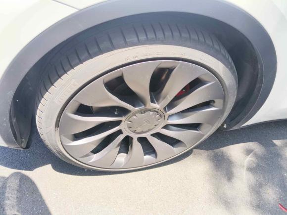 [上海·沪A] 二手特斯拉Model Y2022款 Performance高性能全轮驱动版