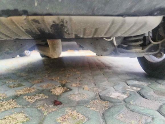 [上海·浙F] 二手凯迪拉克凯迪拉克XT42018款 28T 两驱领先型