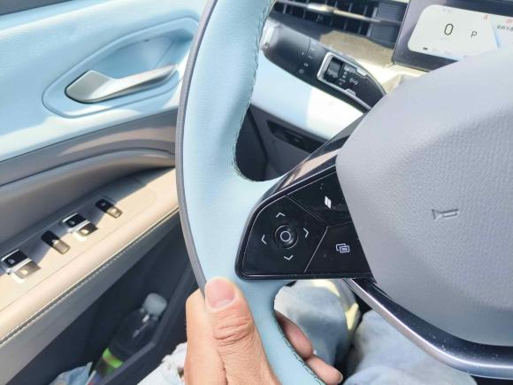 [杭州·浙A] 二手睿蓝汽车睿蓝72023款 450km 驰月