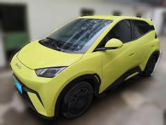 [杭州·浙A] 比亚迪海鸥2023款 活力版