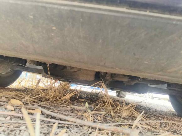 [青岛·鲁U] 二手大众帕萨特2019款 280TSI 商务版 国VI