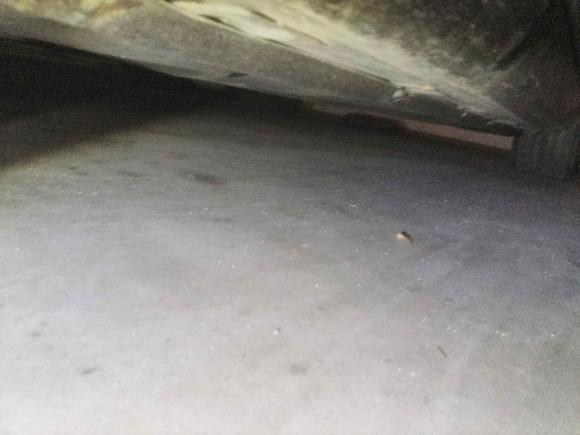 [上海·沪C] 二手奔驰奔驰S级2012款 S 300 L 商务型 Grand Edition