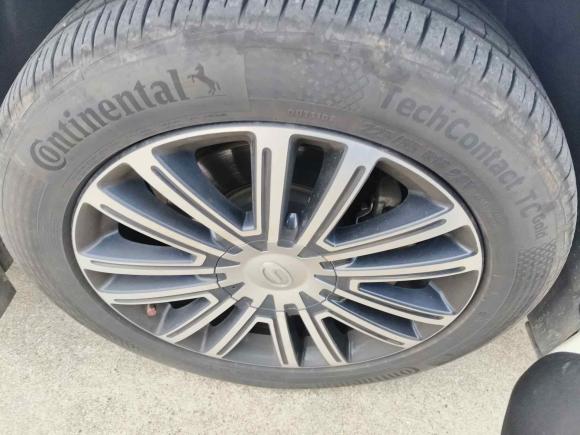 [苏州·苏E] 二手广汽传祺传祺M82021款 大师系列 390T 尊贵版