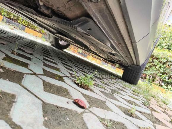 [南京·苏A] 二手大众途岳2022款 280TSI 两驱豪华版