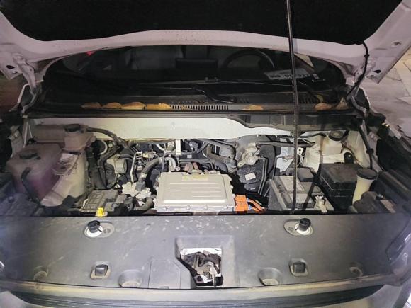 [金华·浙G] 二手比亚迪元Pro2021款 401KM 尊贵型