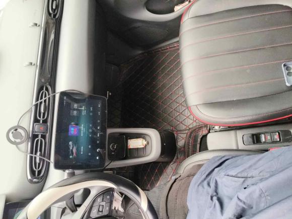 [武汉·鄂A] 二手零跑汽车零跑T032020款 400标准版