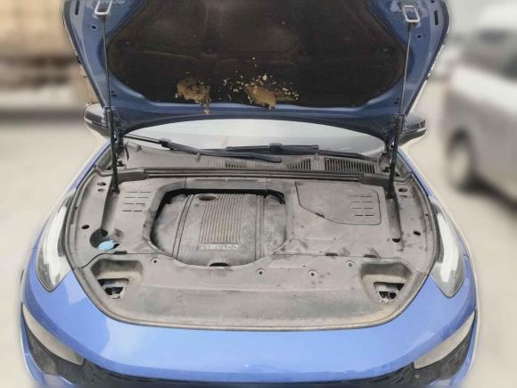 [武汉·鄂W] 二手领克领克022018款 1.5T DCT两驱劲Pro版 国V