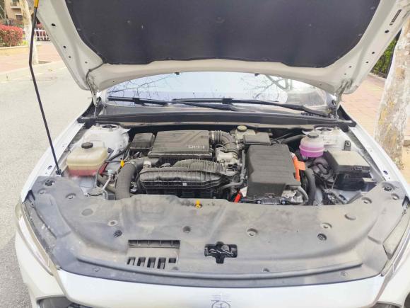 [青岛·鲁B] 二手比亚迪秦2024款 荣耀版 DM-i 55KM领先型