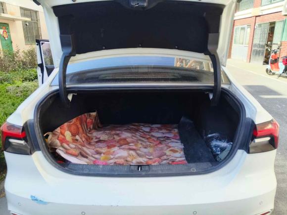 [青岛·鲁B] 二手飞凡汽车飞凡ER62021款 新动版 620km 智行版