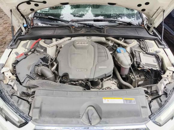 [广州·粤A] 二手奥迪奥迪A4L2019款 40 TFSI 进取型 国VI