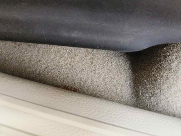 [芜湖·皖B] 二手福特撼路者2016款 2.0T 汽油自动四驱豪华版