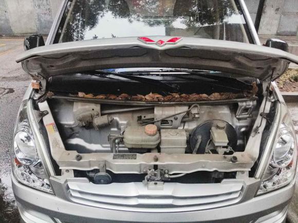 [嘉兴·浙F] 二手五菱汽车五菱荣光S2021款 1.2L基本型5座LSI