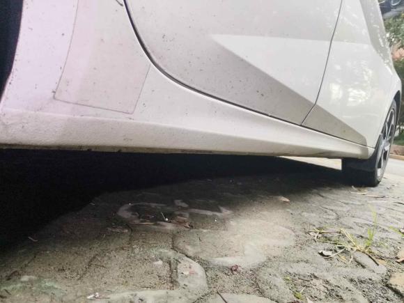 [上海·桂M] 二手现代伊兰特2021款 1.5L CVT GLX精英版