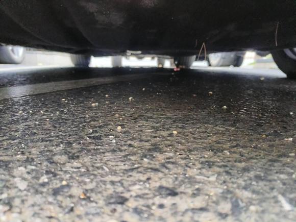 [义乌·浙G] 二手福特福克斯2022款 两厢 EcoBoost 180 自动S版