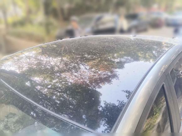 [上海·沪A] 二手比亚迪海豚2021款 405km 时尚版