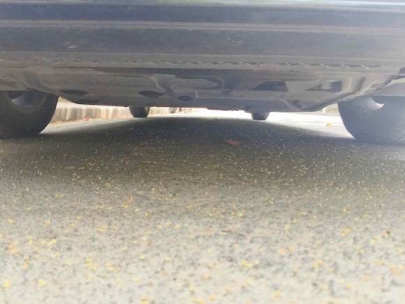 [上海·沪C] 二手大众朗逸2015款 1.6L 手动风尚版