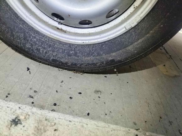 [南通·苏F] 二手开瑞海豚EV2023款 财富版