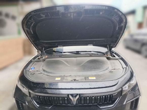 [合肥·皖A] 二手岚图汽车岚图FREE2024款 超长续航智驾版