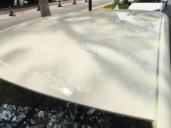 [上海·苏E] 二手比亚迪海豚2023款 420km 自由版