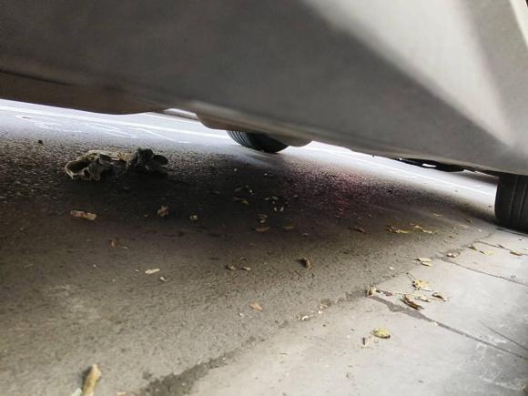 [西安·陕U] 二手哈弗哈弗H22014款 1.5T 手动两驱精英版