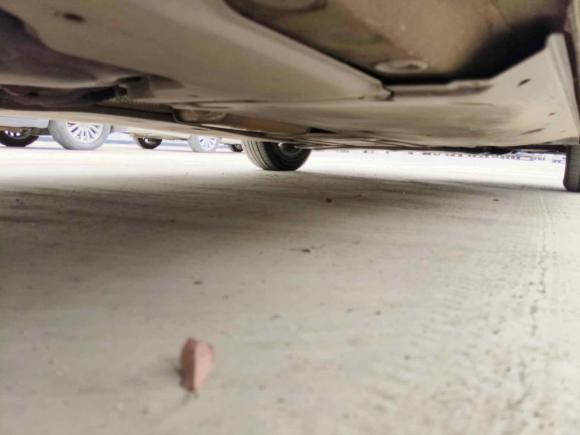 [温州·浙C] 二手大众Polo2021款 Plus 1.5L 自动炫彩科技版