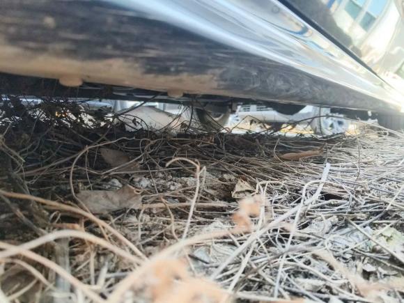 [济南·鲁A] 二手大通大通G102022款 2.0T 自动智享版 汽油 7座