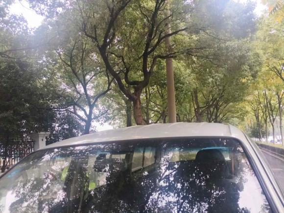 [苏州·苏U] 二手金杯阁瑞斯2018款 2.0L快运舒适型7座V19