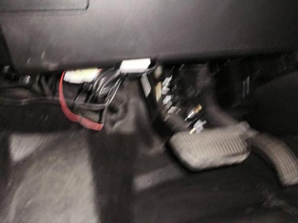 [佛山·粤A] 二手欧拉欧拉黑猫2022款 351km 标准型 三元锂