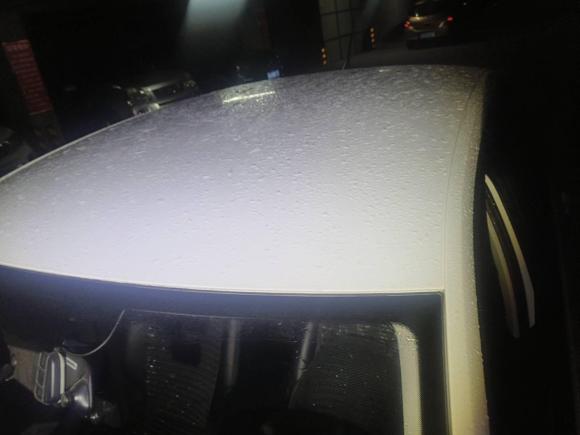 [南昌·赣A] 二手大众捷达2019款 梦想版 1.4L 手动时尚型