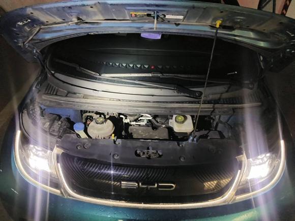 [上海·沪A] 二手比亚迪海豚2021款 405km 自由版