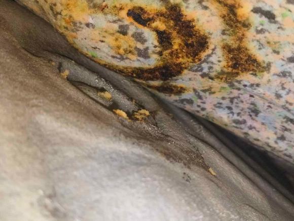 [武汉·鄂A] 二手本田本田XR-V2015款 1.8L EXi  CVT舒适版