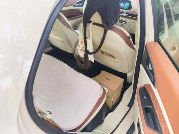 [上海·沪A] 二手欧拉欧拉好猫2023款 401km标准续航 尊荣型 磷酸铁锂