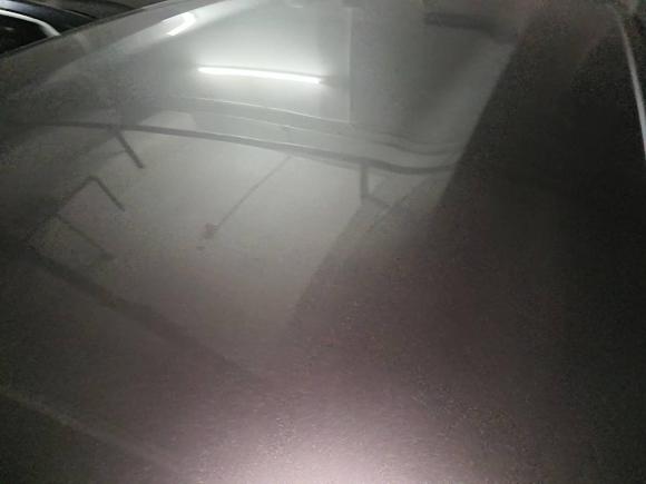 [广州·粤A] 二手比亚迪海豚2023款 420km 自由版