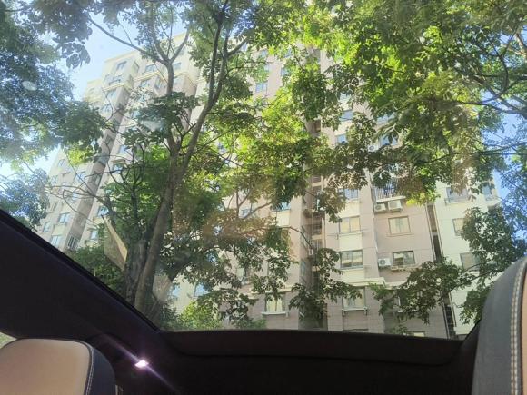 [上海·沪A] 二手大众ID.4 X2021款 Pro 极智长续航版