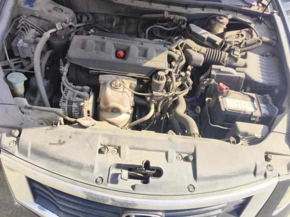 [温州·浙C] 二手本田雅阁2010款 2.0L EX