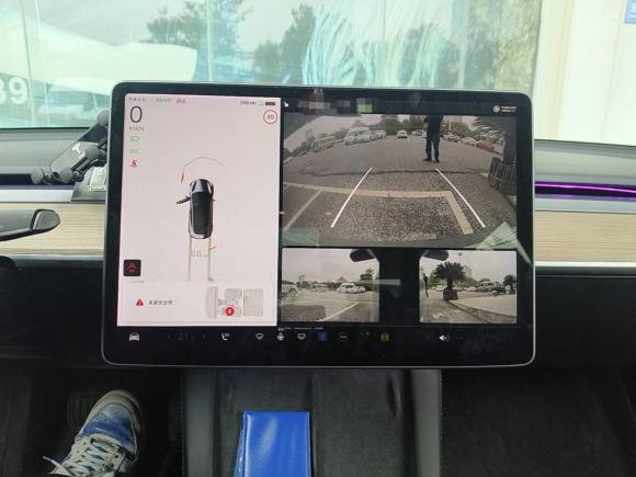 [嘉兴·浙A] 二手特斯拉Model 32021款 标准续航后驱升级版 3D6
