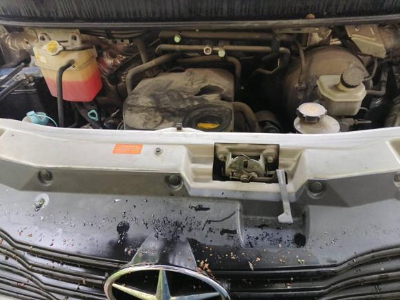 [常州·苏D] 二手江汽集团星锐2019款 1.9T 节油王白金版5-9座星快运