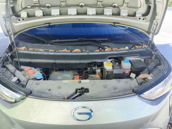 [上海·沪A] 二手埃安AION Y2021款 80 悦享科技版